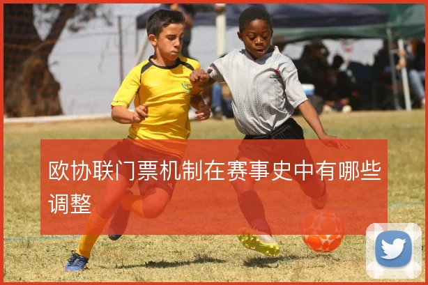 欧协联门票机制在赛事史中有哪些调整