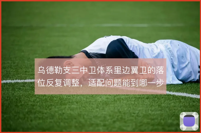 乌德勒支三中卫体系里边翼卫的落位反复调整，适配问题能到哪一步
